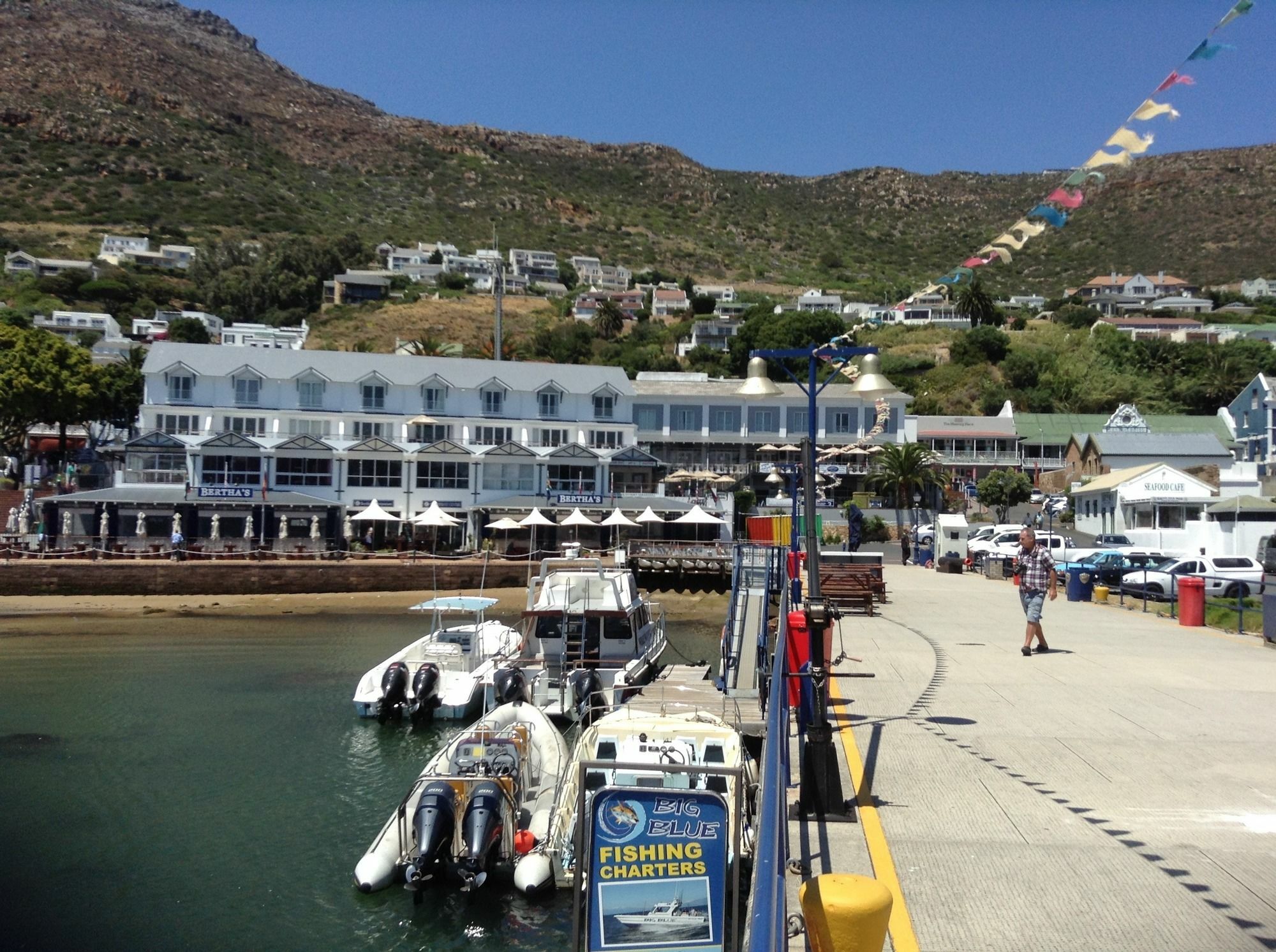 Restio Garden Studio Simon's Town Exterior photo